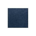 Carpets For Kids Mt. Shasta - Ocean Blue Rug 3046.461
